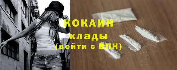 ПСИЛОЦИБИНОВЫЕ ГРИБЫ Бородино