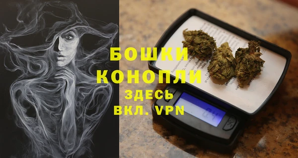 ПСИЛОЦИБИНОВЫЕ ГРИБЫ Бородино