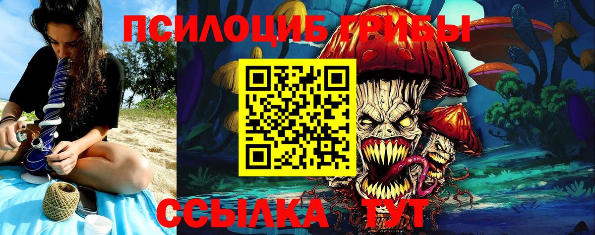 Псилоцибиновые грибы Cubensis  Вход с VPN  Валуйки 